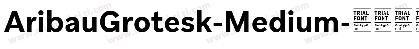 AribauGrotesk-Medium字体转换