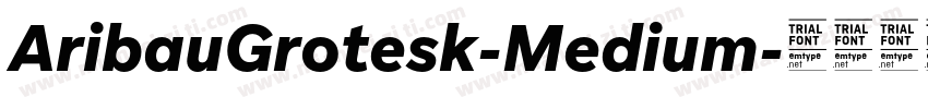 AribauGrotesk-Medium字体转换