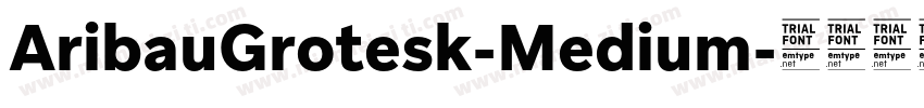 AribauGrotesk-Medium字体转换