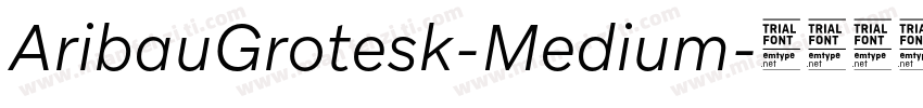 AribauGrotesk-Medium字体转换