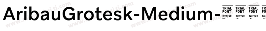 AribauGrotesk-Medium字体转换