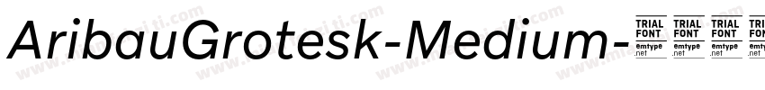 AribauGrotesk-Medium字体转换