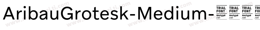 AribauGrotesk-Medium字体转换