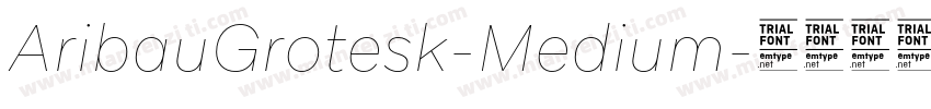 AribauGrotesk-Medium字体转换