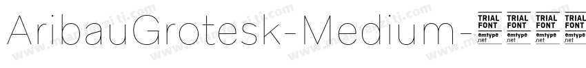 AribauGrotesk-Medium字体转换