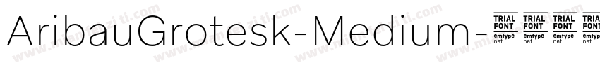 AribauGrotesk-Medium字体转换