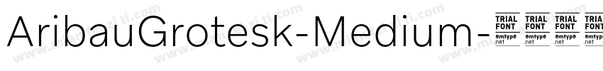 AribauGrotesk-Medium字体转换