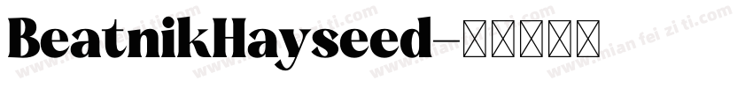 BeatnikHayseed字体转换