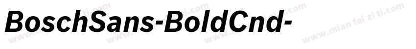 BoschSans-BoldCnd字体转换