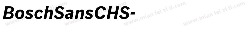 BoschSansCHS字体转换