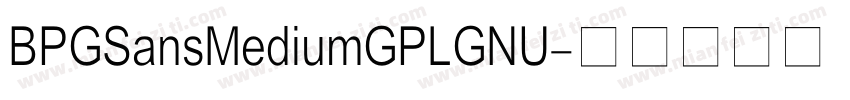 BPGSansMediumGPLGNU字体转换