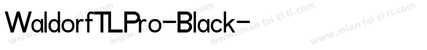 WaldorfTLPro-Black字体转换