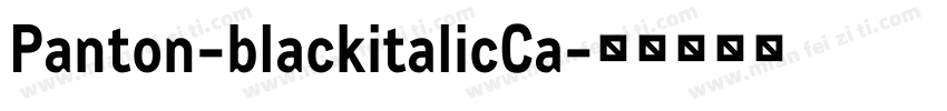 Panton-blackitalicCa字体转换