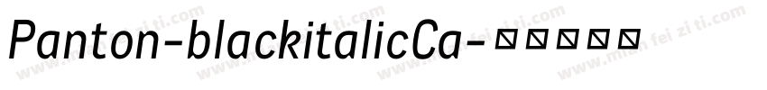 Panton-blackitalicCa字体转换