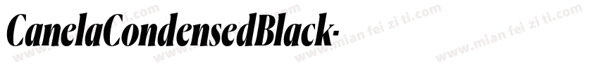 CanelaCondensedBlack字体转换