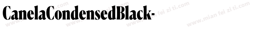 CanelaCondensedBlack字体转换