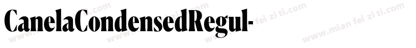 CanelaCondensedRegul字体转换