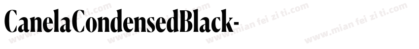 CanelaCondensedBlack字体转换