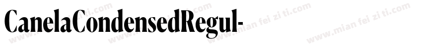 CanelaCondensedRegul字体转换