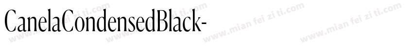 CanelaCondensedBlack字体转换
