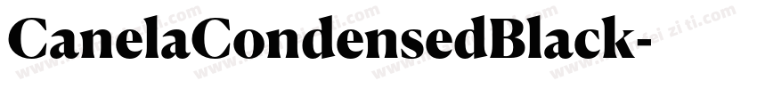 CanelaCondensedBlack字体转换