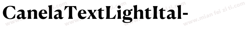 CanelaTextLightItal字体转换