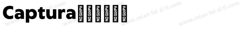 Captura字体转换