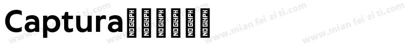 Captura字体转换