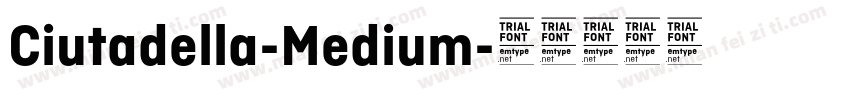 Ciutadella-Medium字体转换