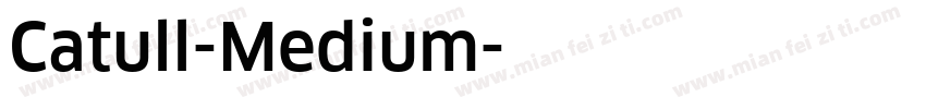Catull-Medium字体转换