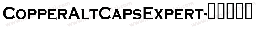CopperAltCapsExpert字体转换