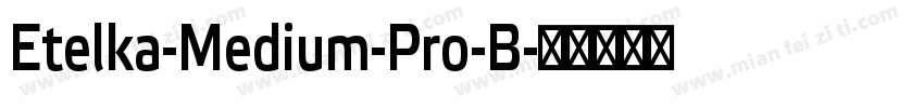 Etelka-Medium-Pro-B字体转换