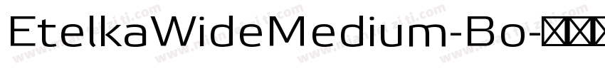 EtelkaWideMedium-Bo字体转换