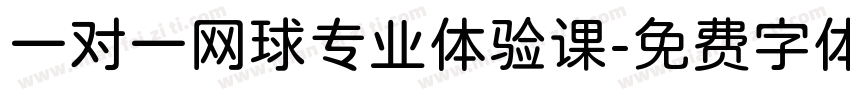 一对一网球专业体验课字体转换