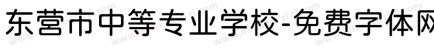 东营市中等专业学校字体转换