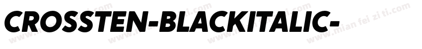 CROSSTEN-BLACKITALIC字体转换