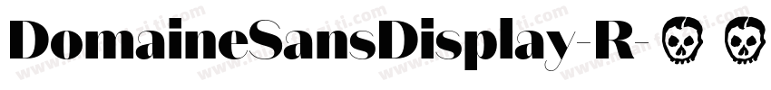 DomaineSansDisplay-R字体转换