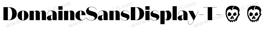 DomaineSansDisplay-T字体转换