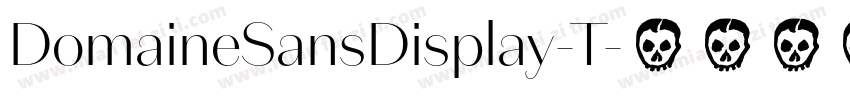 DomaineSansDisplay-T字体转换