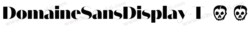 DomaineSansDisplay-T字体转换