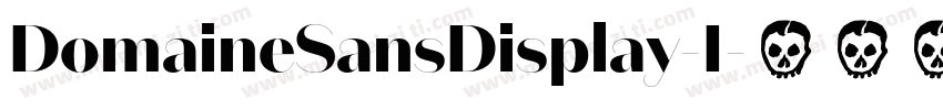 DomaineSansDisplay-I字体转换