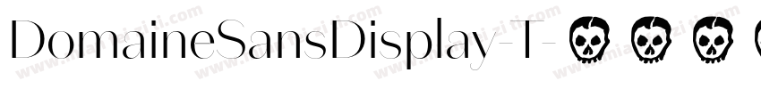 DomaineSansDisplay-T字体转换