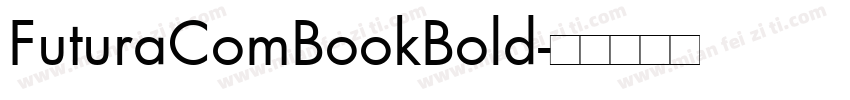 FuturaComBookBold字体转换