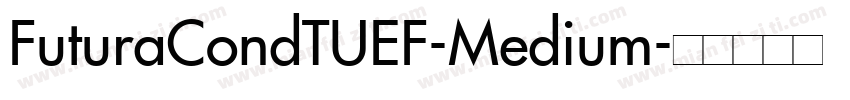 FuturaCondTUEF-Medium字体转换