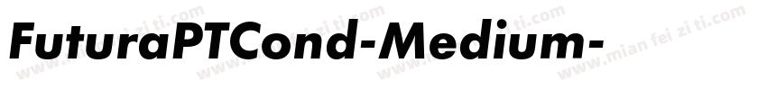 FuturaPTCond-Medium字体转换