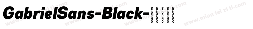 GabrielSans-Black字体转换