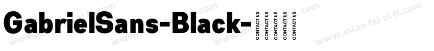 GabrielSans-Black字体转换