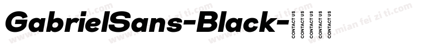 GabrielSans-Black字体转换