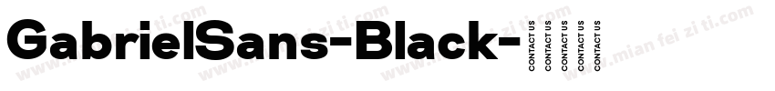 GabrielSans-Black字体转换