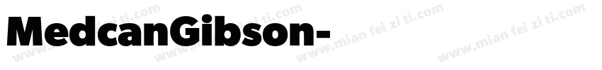MedcanGibson字体转换